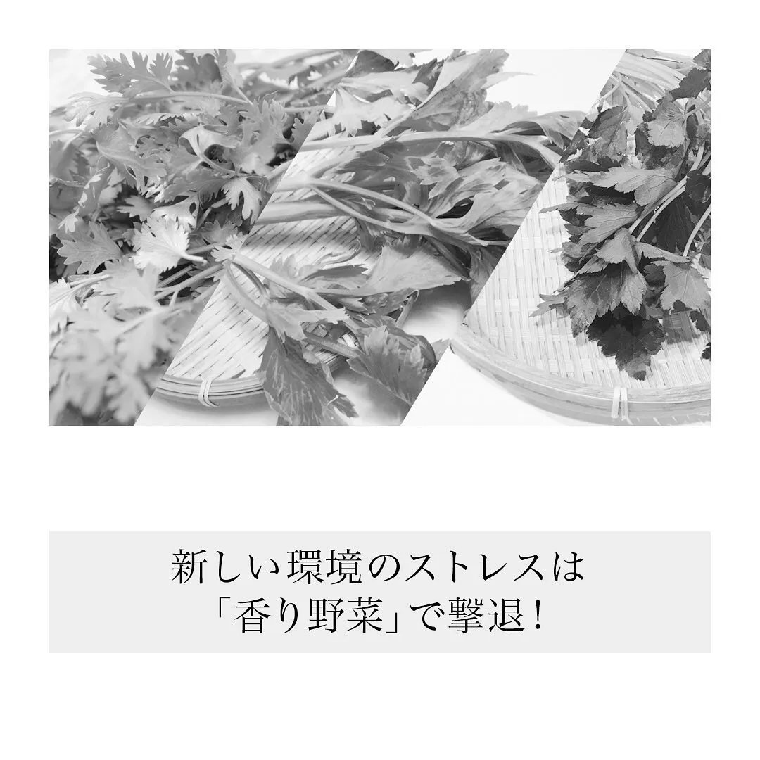 「新しい環境のストレスは香り野菜で撃退」