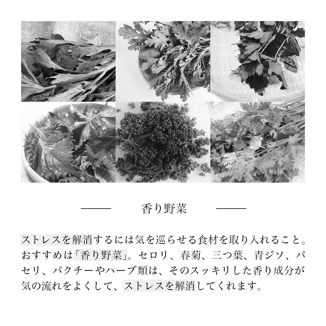 「新しい環境のストレスは香り野菜で撃退」